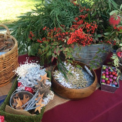 20230807205047_17-IMG_0207