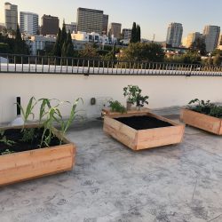 20230807215535_18-IMG_6588