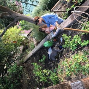 05.jpg